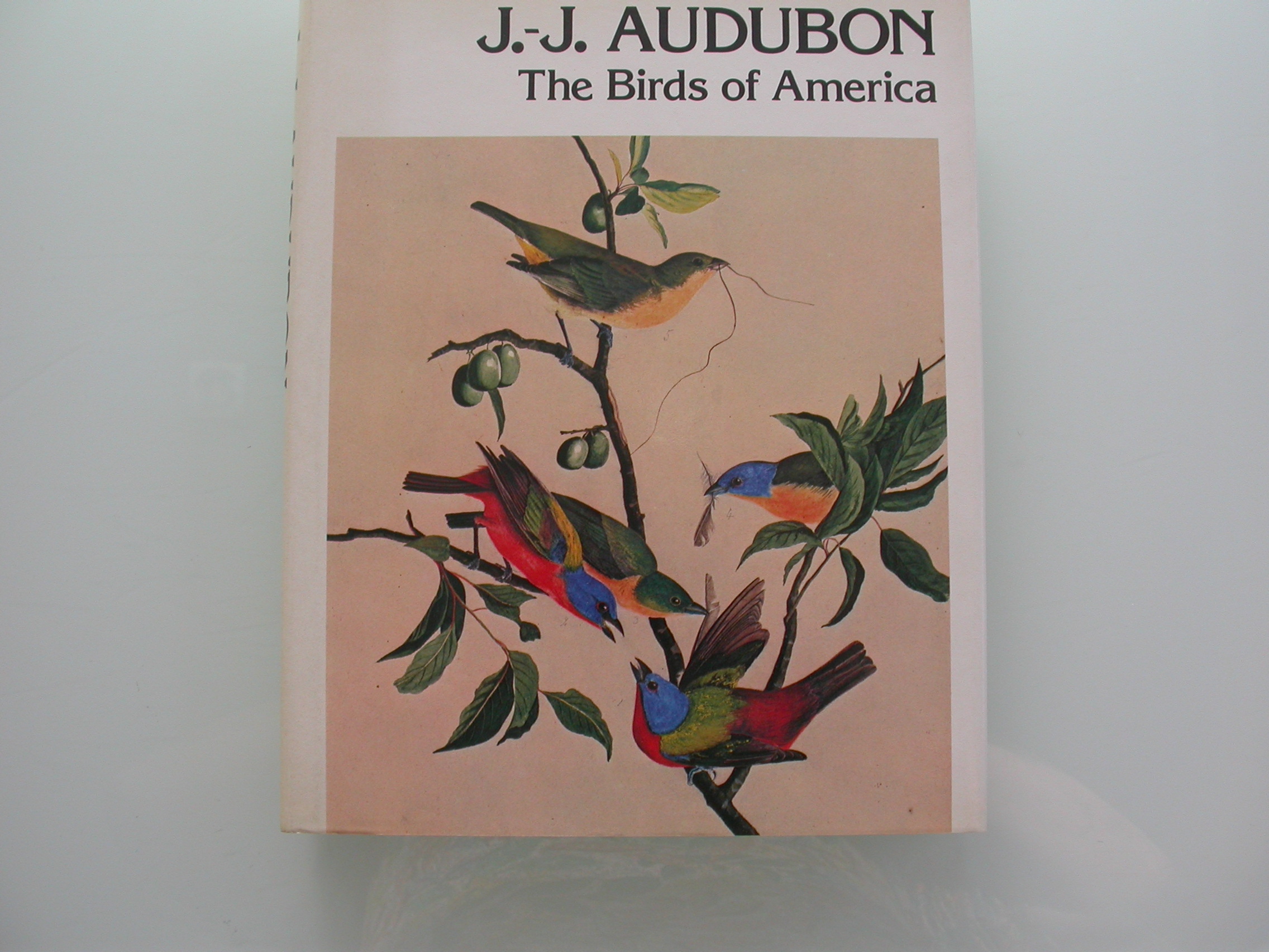 Livre de la semaine: John James Audubon et The Birds of America