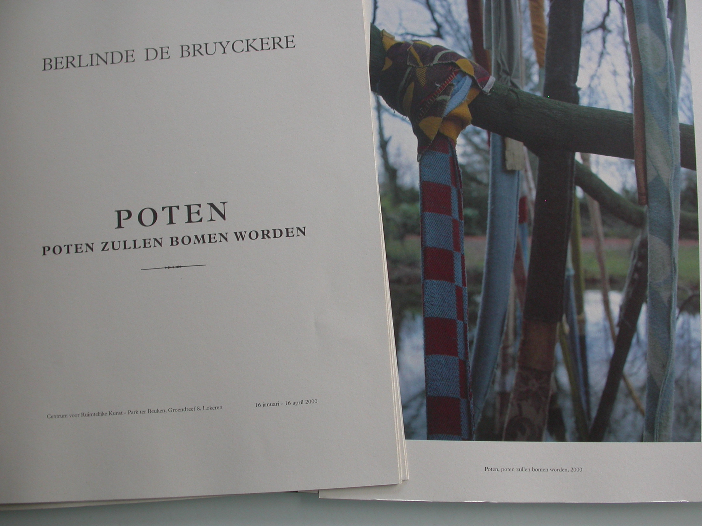 Restock! Berlinde De Bruyckere - Poten, poten zullen bomen worden