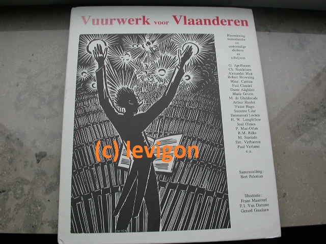 Vuurwerk voor Vlaanderen