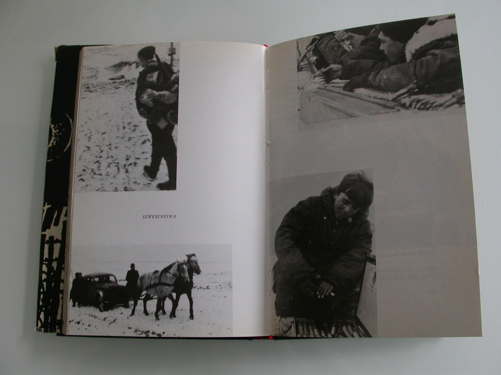 Roland Walter Art. 113