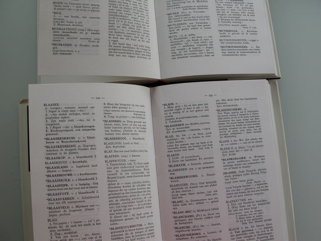Lievevrouw-Coopman Gents woordenboek (3 delen)