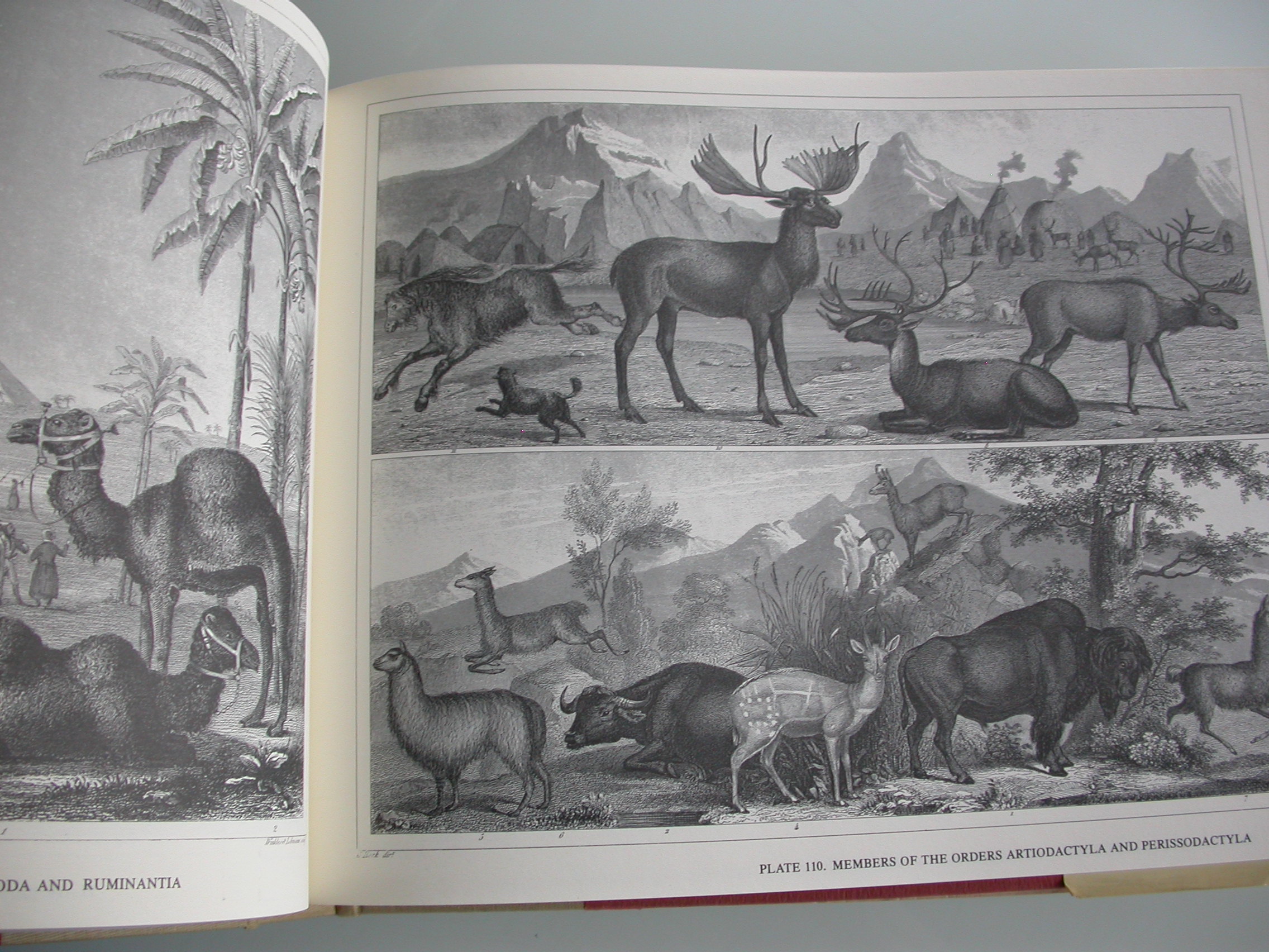 Heck The complete encyclopedia of illustration