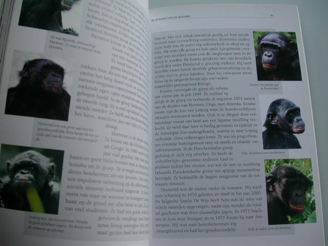 Vervaecke De bonobo's