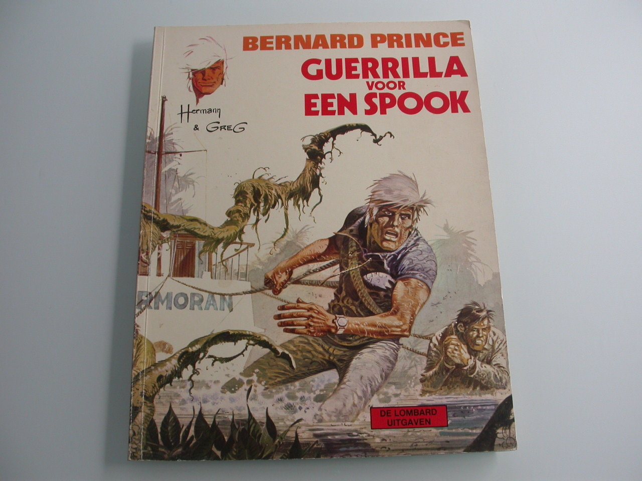 Bernard Prince 9 Guerrilla voor een spook