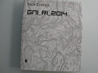 Nick Ervinck GNI_RI_2014 - MER. Paper Kunsthalle 2014