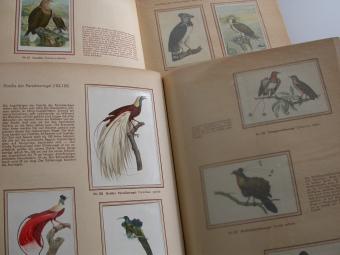 Bunte Vögel aus aller Welt - Complete Kosmos Zigarettenbilder Bird Album (2 Volumes)