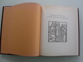 De reizen van Sint-Brandaan - Middeleeuws reisverhaal Vlaamse Volksboeken