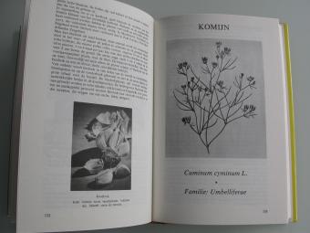 Rosengarten Het grote boek der specerijen