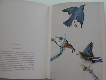 John James Audubon The Birds of America - Facsimile Edition