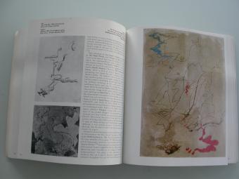 William Rubin & Carolyn Lanchner André Masson