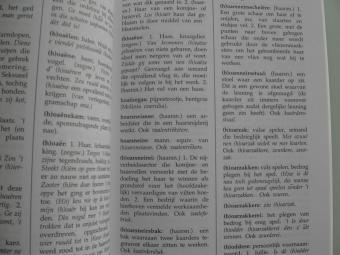 pagina uit het woordenboek Lokers dialect