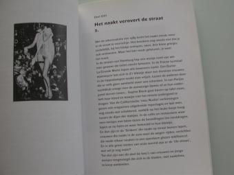 foto in paperback Louis Paul Boon Fenomenale Feminateek
