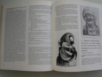 narren in boek Vandenbroeck Beeld van de andere, vertoog over het zelf