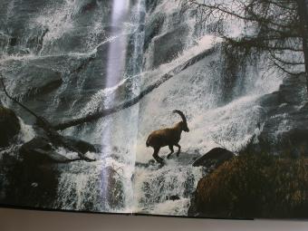 Silvester, Hans L'eau