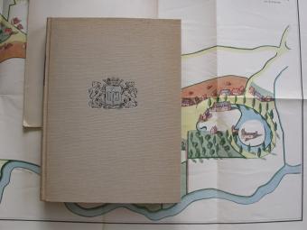 boek Vedastus Verstegen De markt te Lokeren