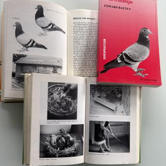 Edward Baeten - 3 boeken over duivensport