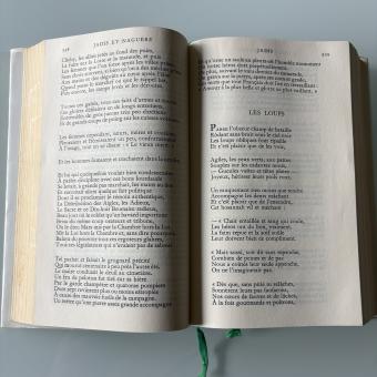 Paul Verlaine Oeuvres poétiques complètes Bibliothèque de la Pléiade