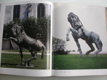 Jan Desmarets: Kracht in Beweging Snoeck / Guy Pieters Editions 2004