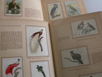 Bunte Vögel aus aller Welt - Complete Kosmos Zigarettenbilder Bird Album (2 Volumes)