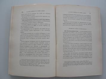 Désiré-Joseph Mercier Logique