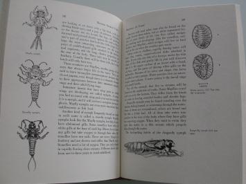 Winter search party, A guide to insects and other invertebrates