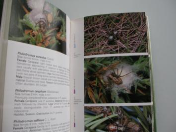 foto's uit boek A guide to spiders of Britain and Northern Europe