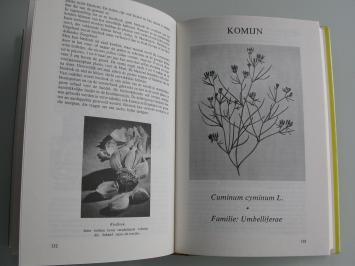 Rosengarten Het grote boek der specerijen