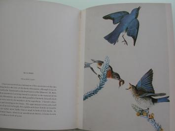 John James Audubon The Birds of America - Facsimile Edition