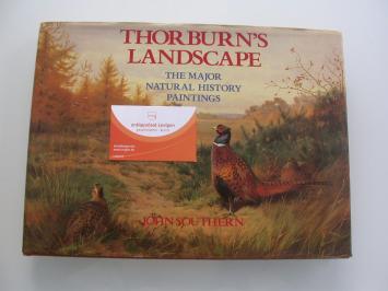 Southern Thorburn's landscape