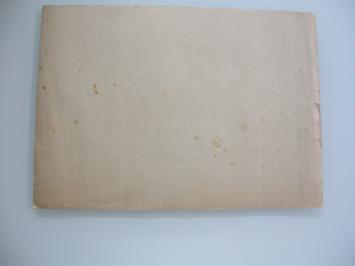 Imagerie Quantin Série 21 n°11 - Prise de Mulhouse (7 août 1914)