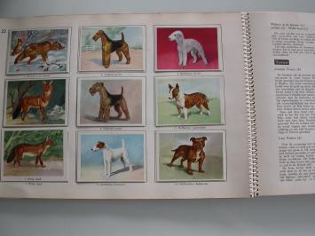 van der Hoeven-de Meijier Dieren van dichtbij deel 1 Honden
