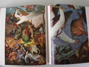 Marijnissen Pieter Bruegel de oude