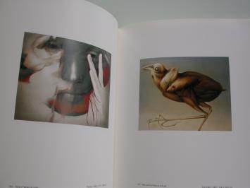 Landuyt, Octave Beelden en denkbeelden