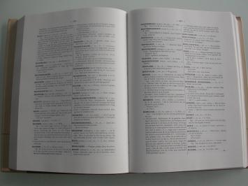 Joos, Amaat Waas idioticon