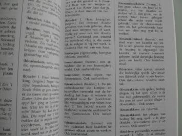 pagina uit het woordenboek Lokers dialect