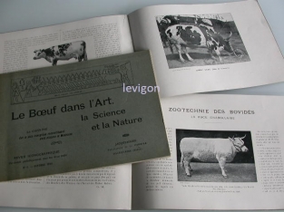 Le boeuf dans l'art, la science et la nature (3 numéros)