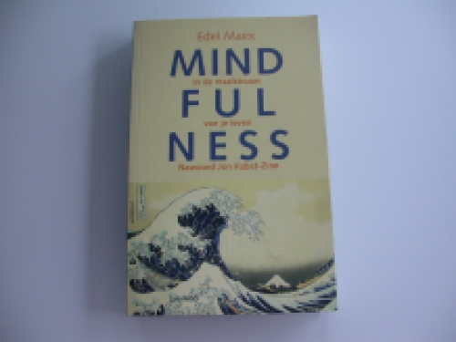 Maex Mindfulness In de maalstroom van je leven